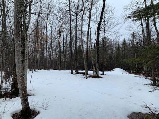 Lot 13 Pfeifer Road - Photo 1