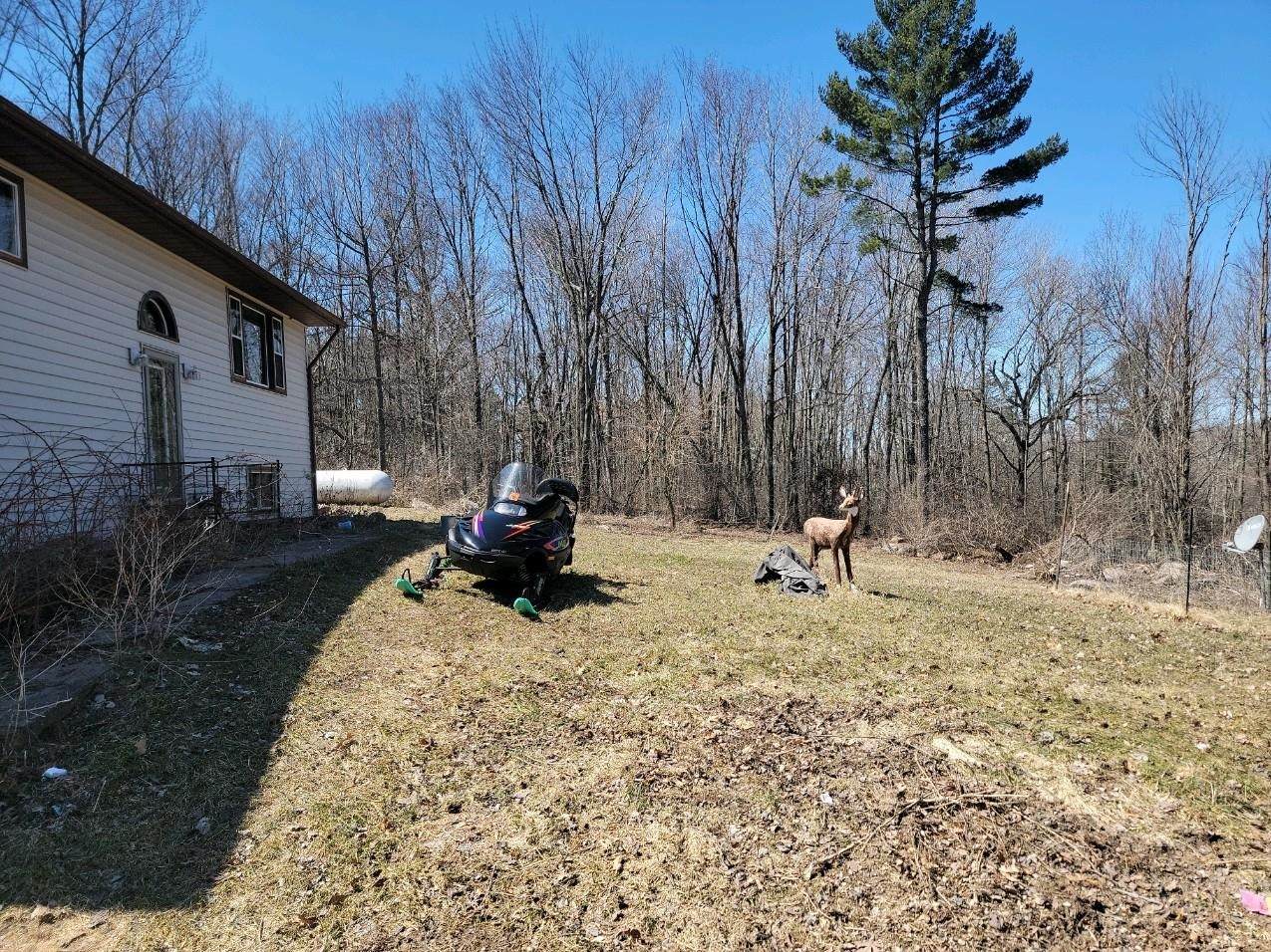 E1083 Larson Road - Photo 1