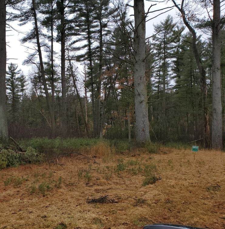 Lot 60 Fly Rod Trail - Photo 1