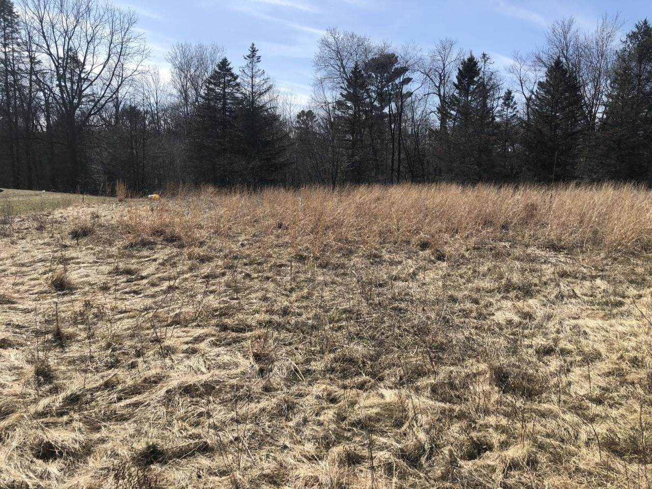 Lot 2 3.51 ac Aarons Lane - Photo 1