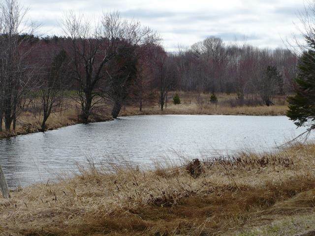 W7500 Crow Road - Photo 1