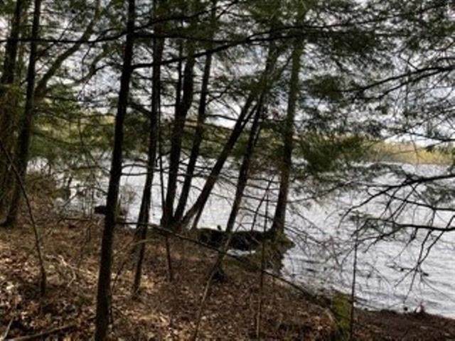 2 Acres Lot 4 Lake 19 Road - Photo 1