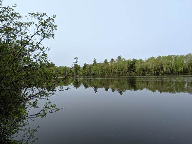 LOT 1 Pixley Wilderness Shores - Photo 1