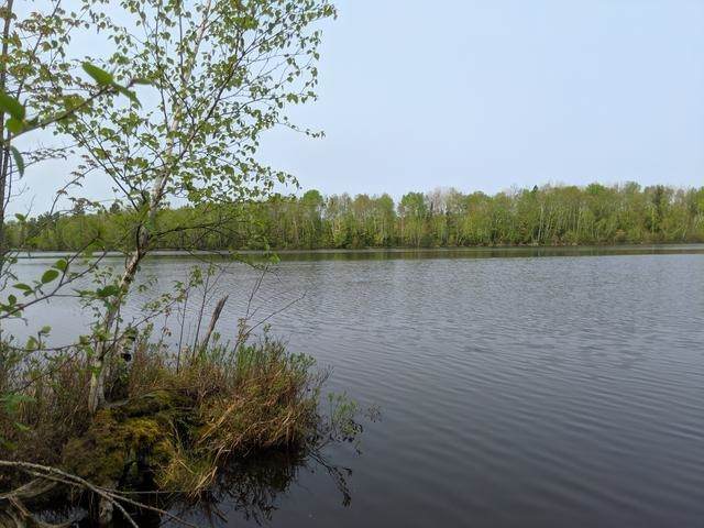 LOT 7 Pixley Wilderness Shores - Photo 1