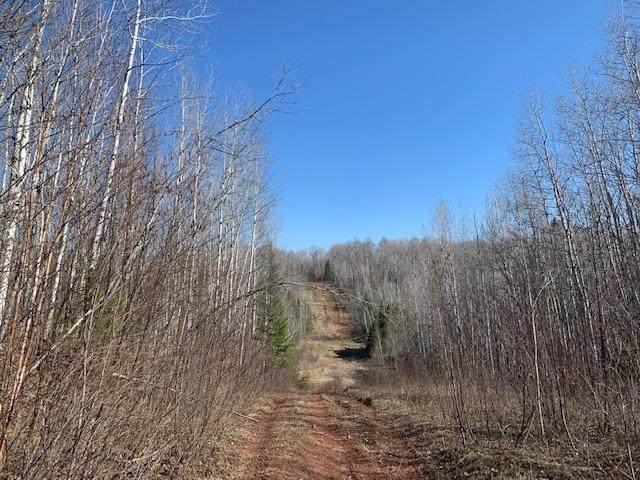 Potato River Road - Photo 1