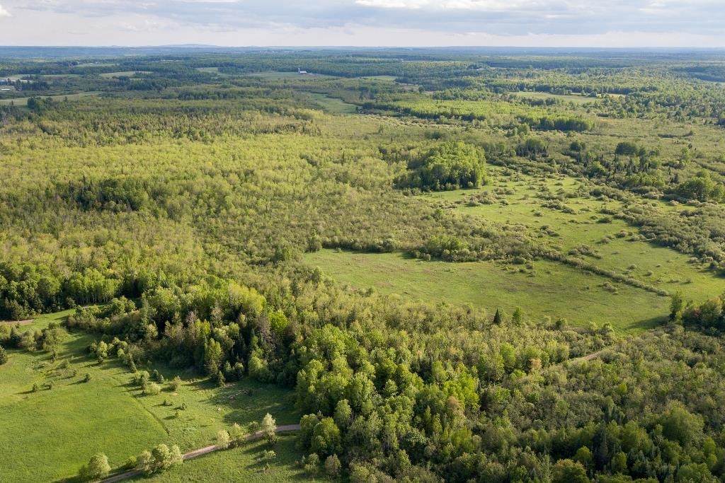 80 Acres Vascheau Road - Photo 1
