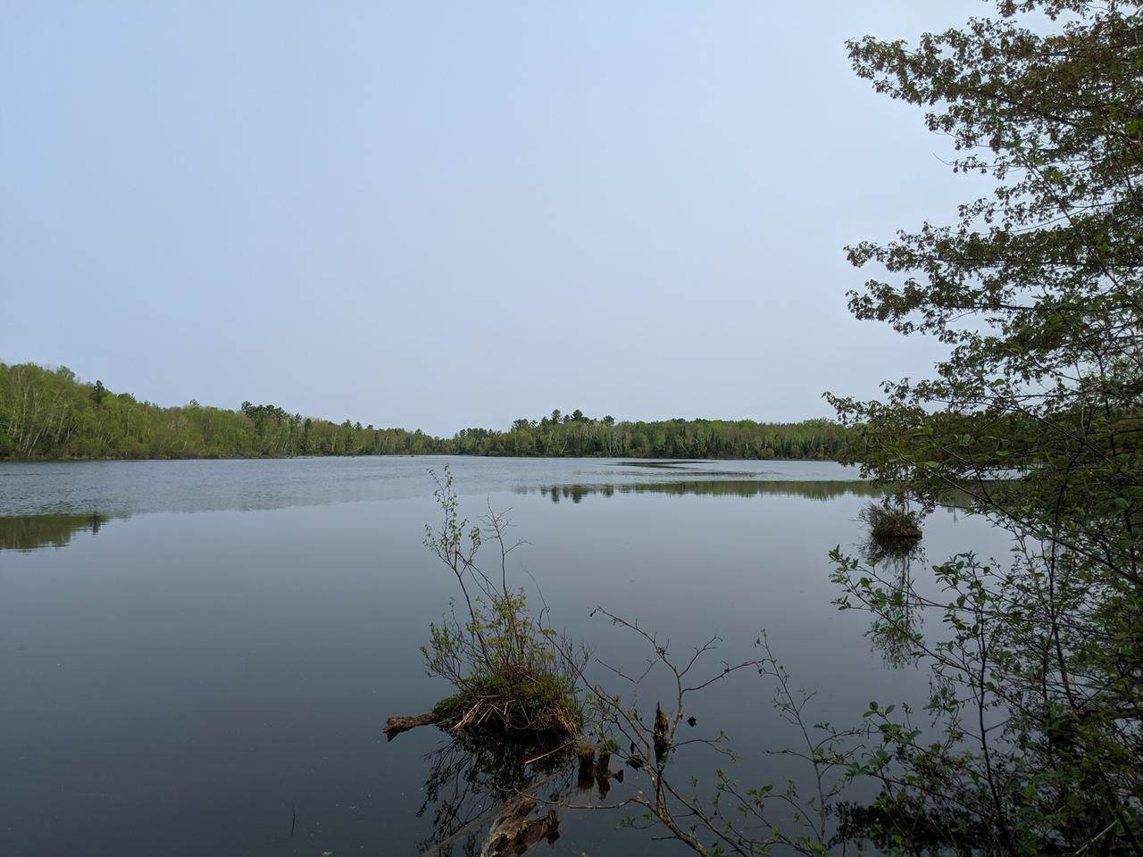 Lot 5 Pixley Wilderness Road - Photo 1