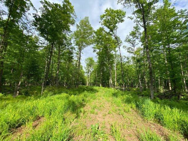 120 Acres County Road H - Photo 1