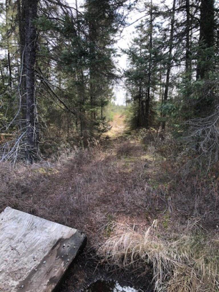 Swamp Road - Photo 1