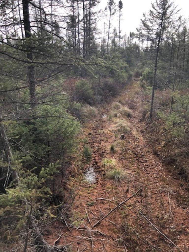 Swamp Road - Photo 1