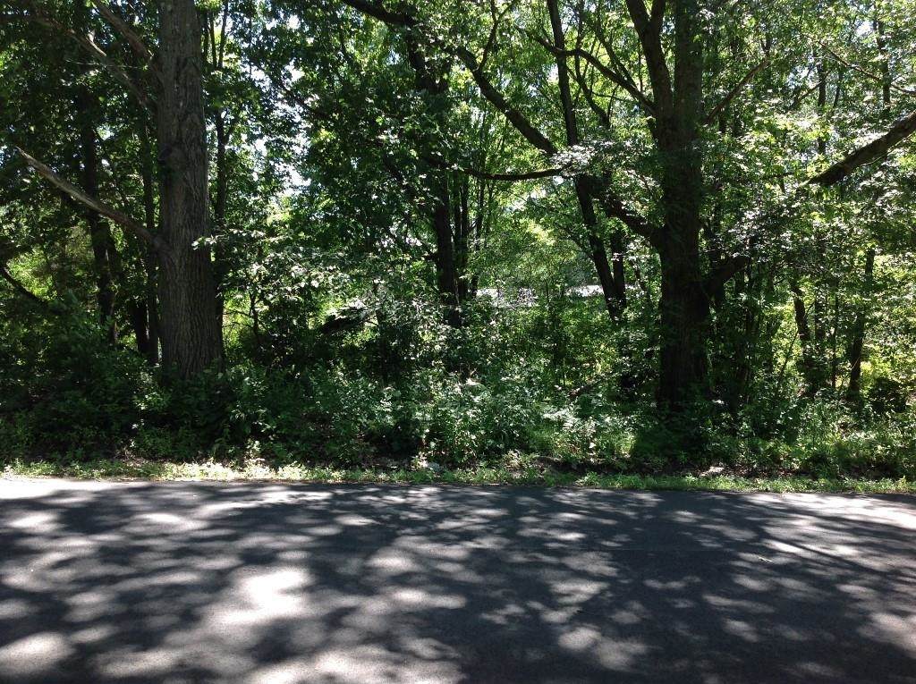 2505 Red Maple Road - Photo 1