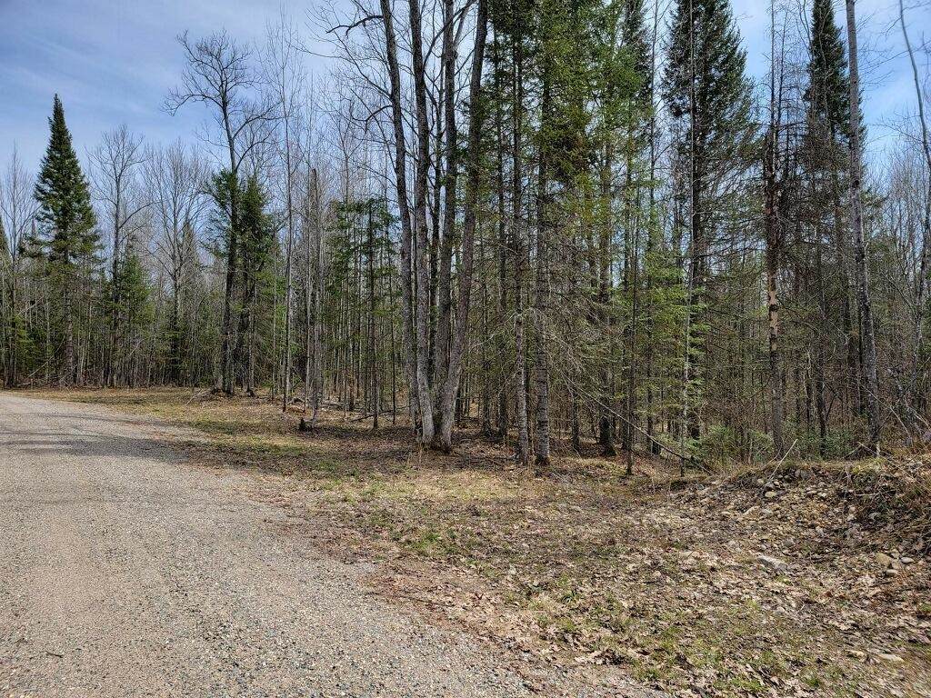 Lot 2 County Road W - Photo 1