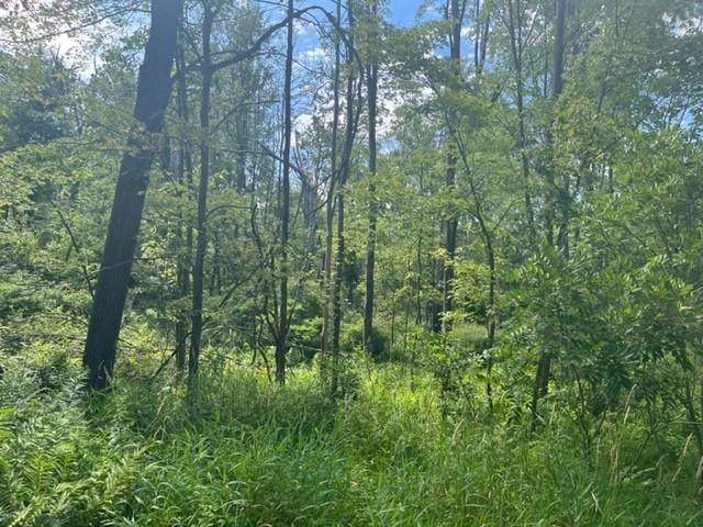 Lakeview Drive - Photo 1