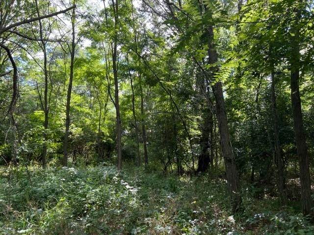Bluffview Drive - Photo 1