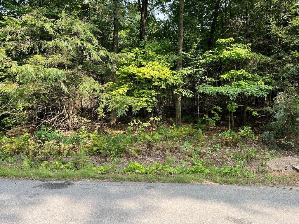 Lot 2 28TH AVENUE - Photo 1