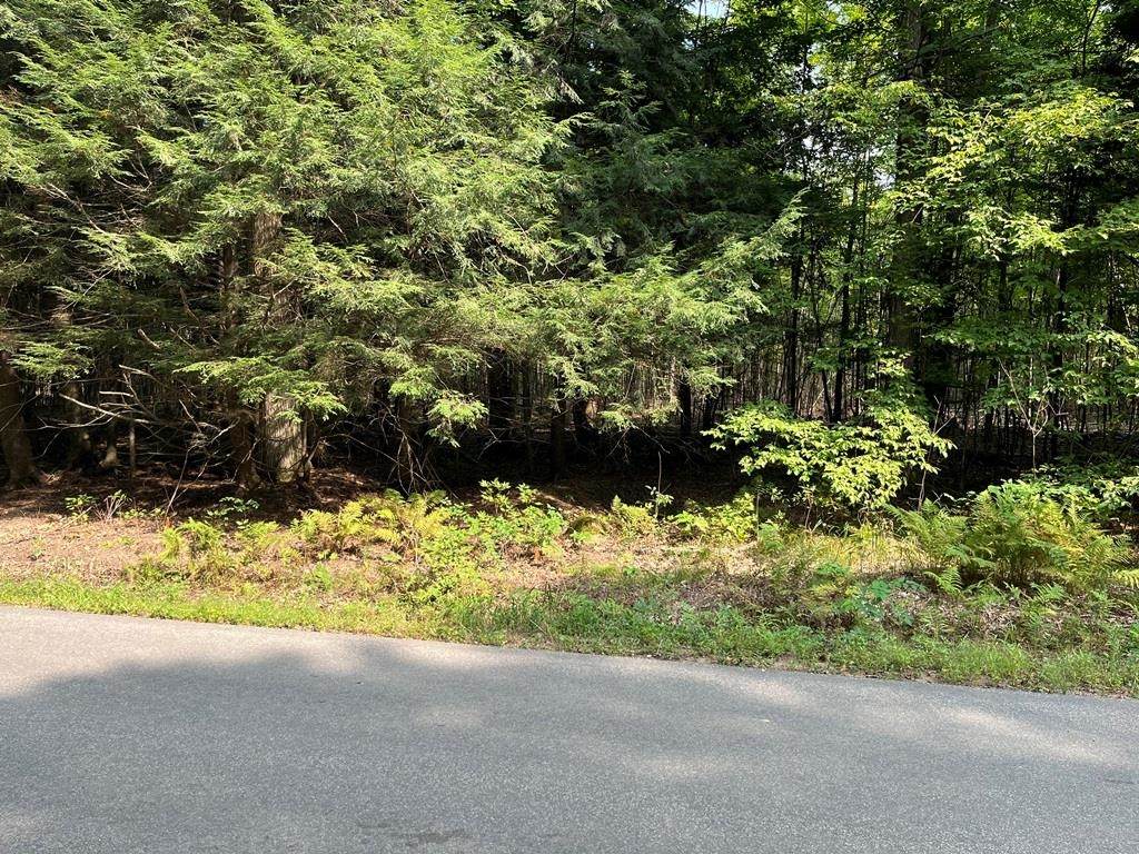 Lot 3 28TH AVENUE - Photo 1