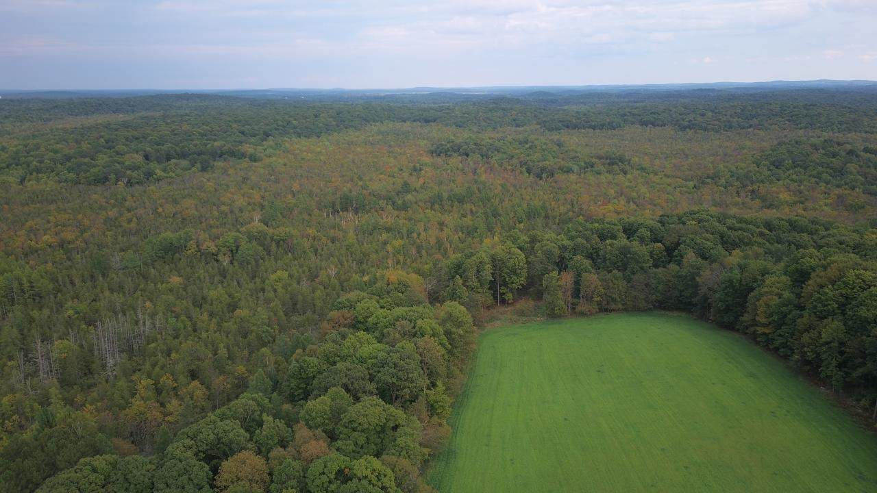 38.83 Witt-Morr Townline Road - Photo 1