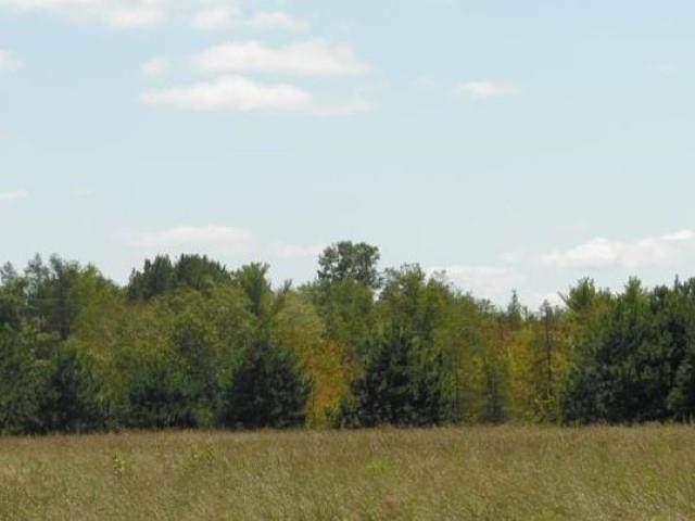 40 Ac (MOL) North Star Lane - Photo 1