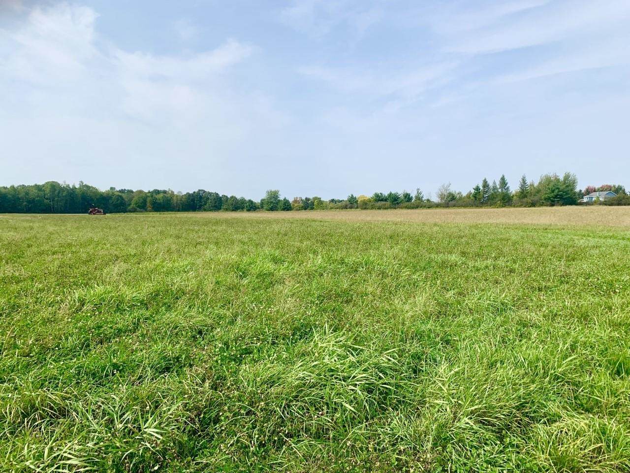 Lot 1 Adler Road - Photo 1