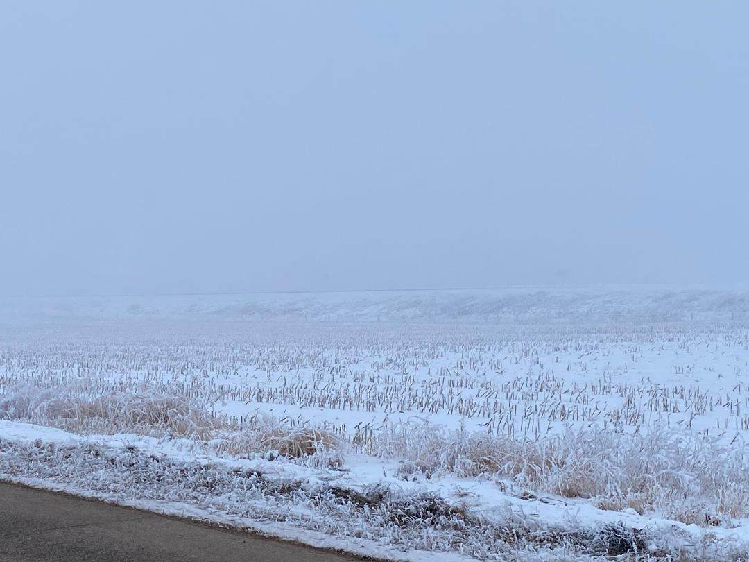 Lot 20 Frontage Road - Photo 1