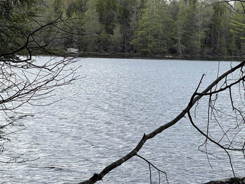 1 Acre W Lot 4 Lake 19 Road - Photo 1