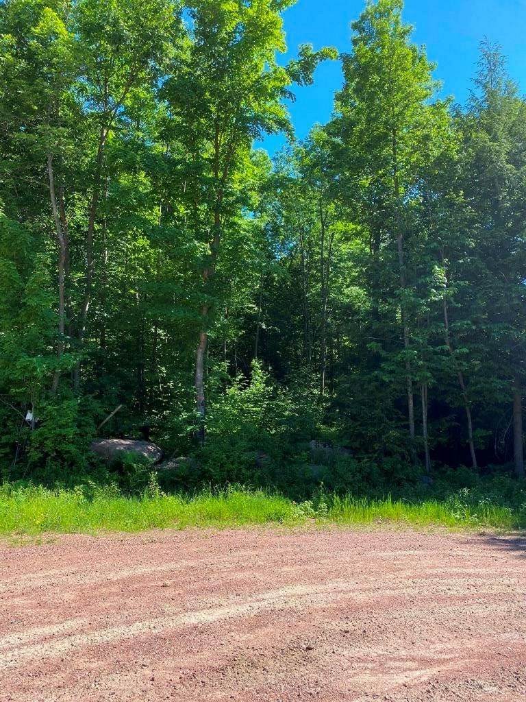 15.65 Acres Prehn Drive - Photo 1