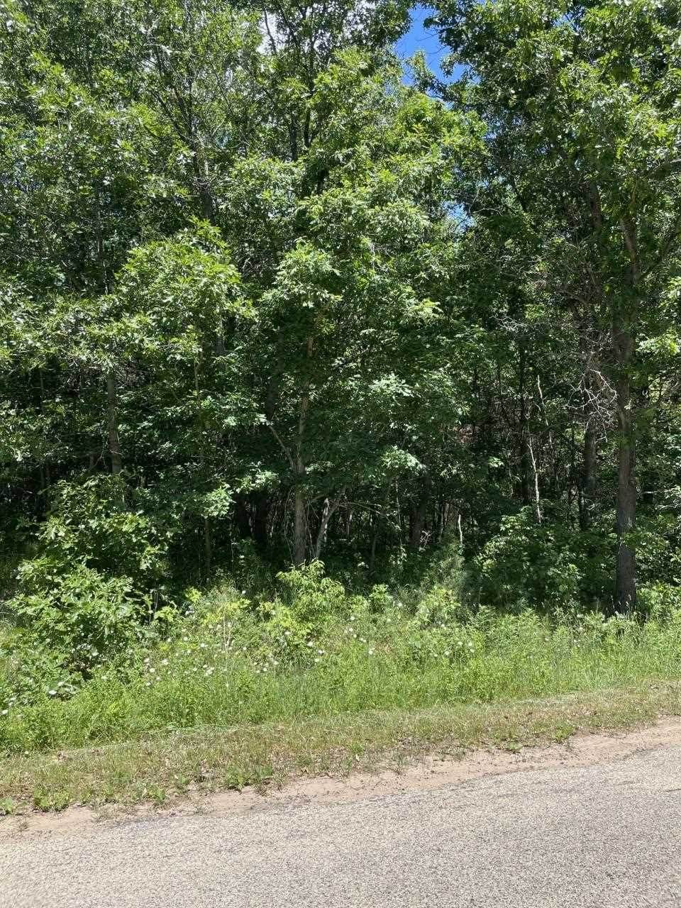 33.33-60th Street Highway 12 & 16 - Photo 1