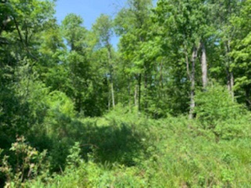 SW SW, NW SW Buck Ridge Drive - Photo 1
