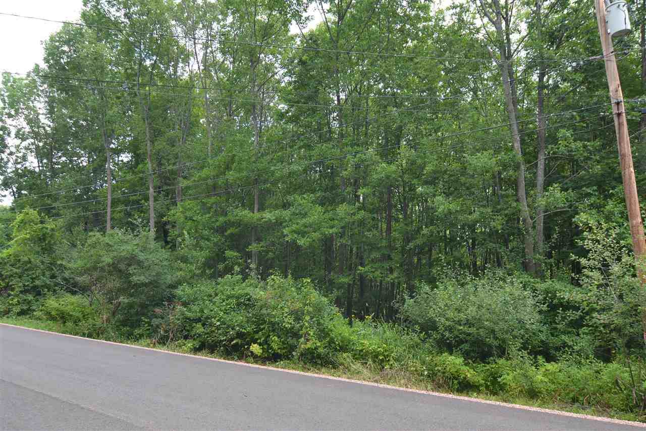 Lot 3 Wintergreen Road - Photo 1