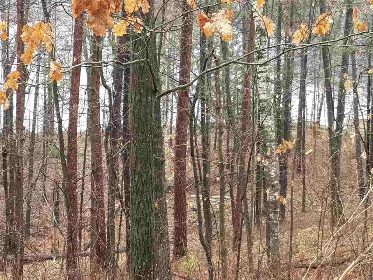 PCLD CSM 1190 Rolling Ridge Road - Photo 1