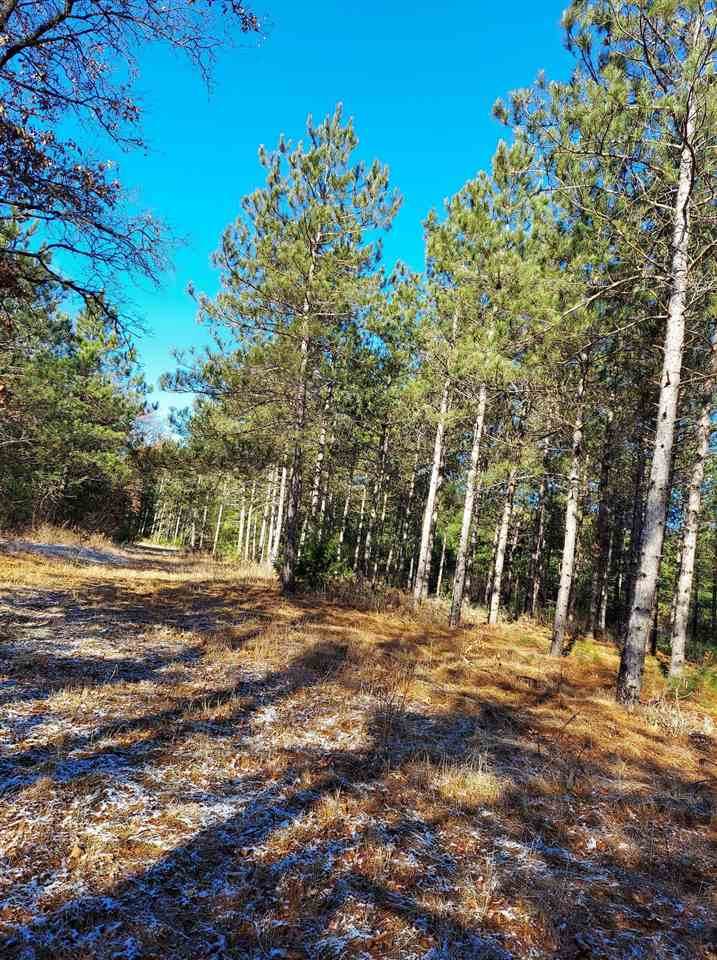 181 Acres Bell Road - Photo 1