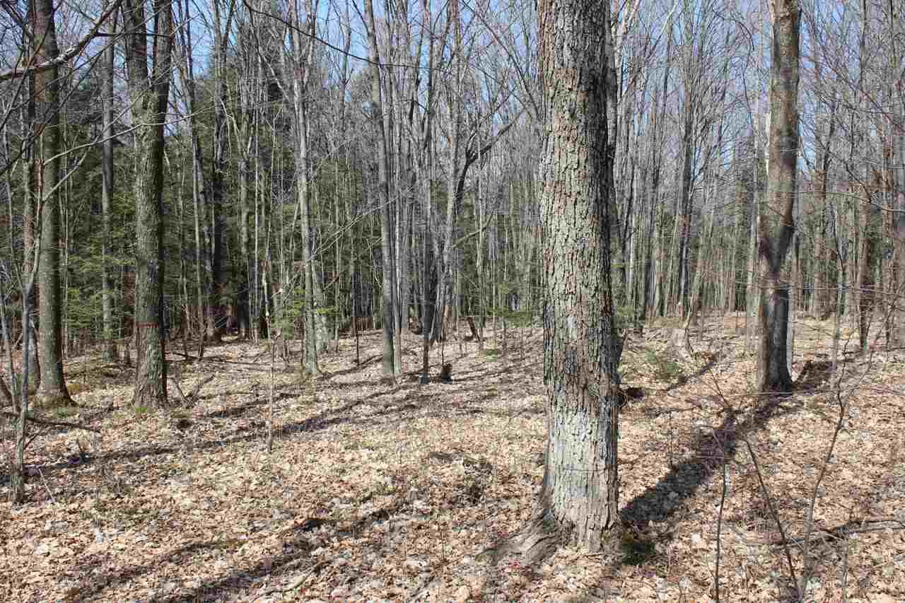 20 Acres Owl Ridge Road - Photo 1