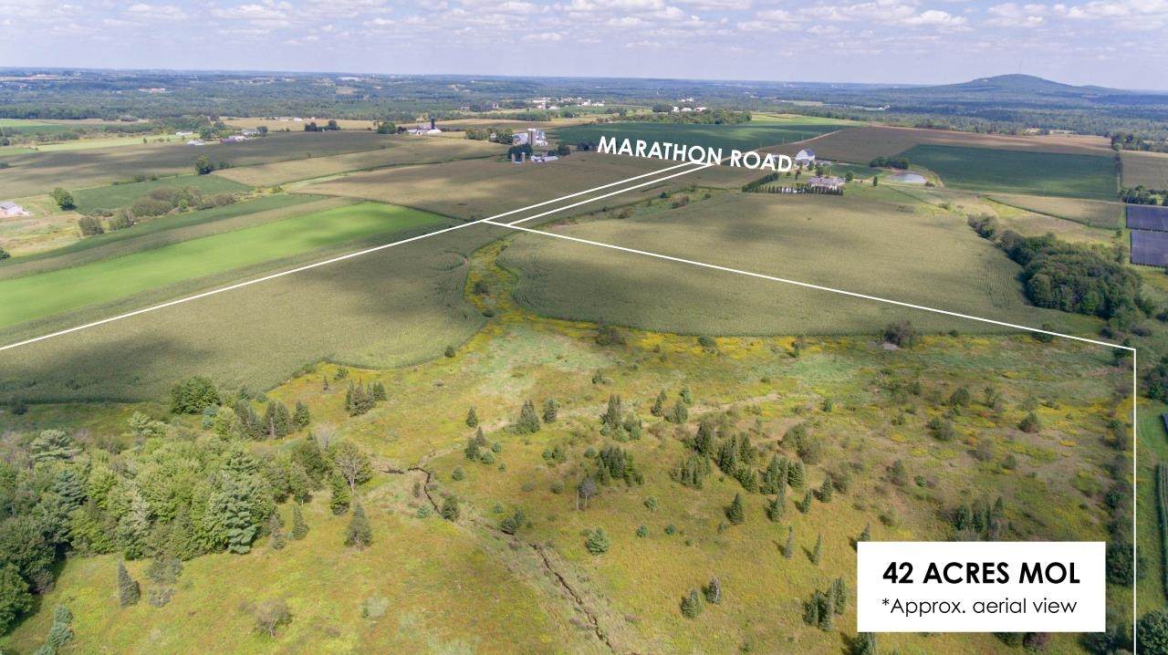 42 Acres MOL Marathon Road - Photo 1