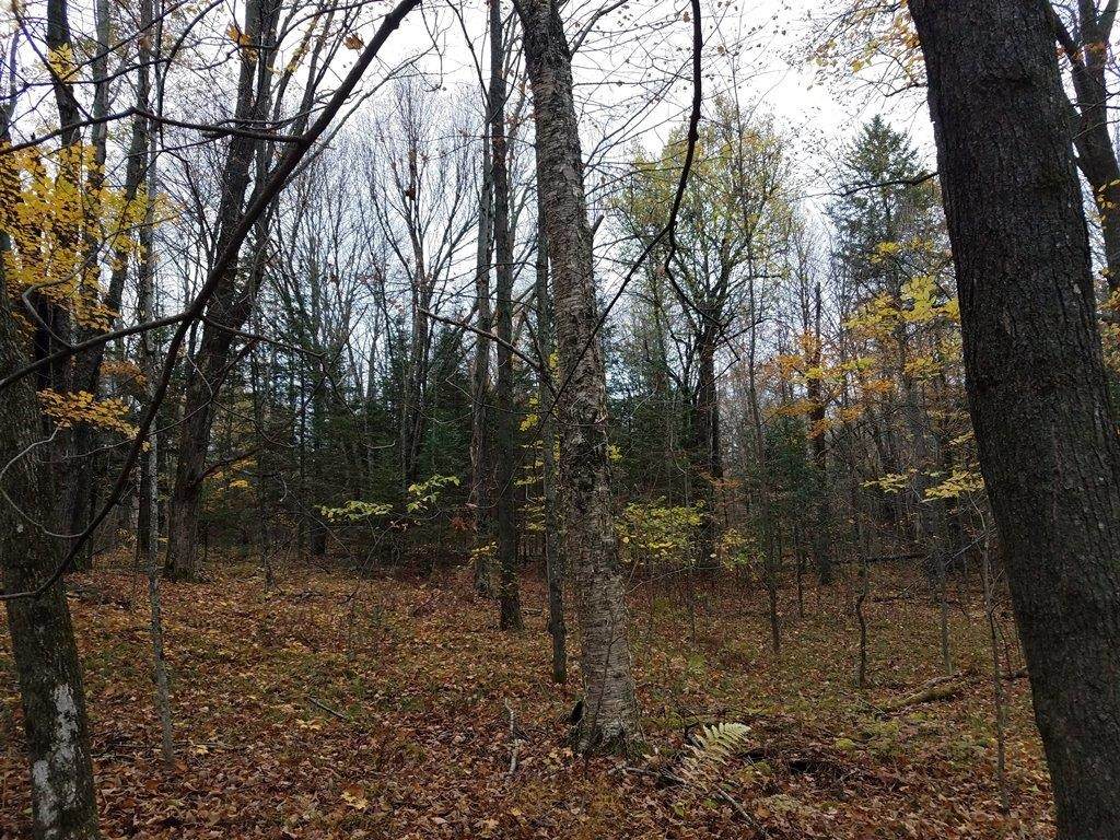 Poplar Road - Photo 1