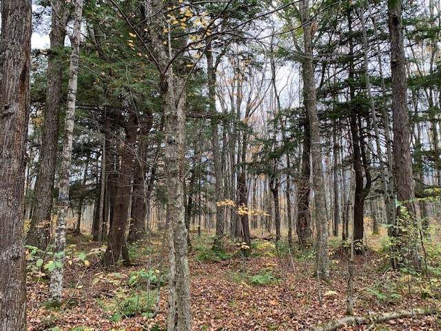 120 Acres (MOL) No Name Road - Photo 1