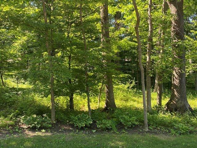 1132 Ives Street - Photo 1