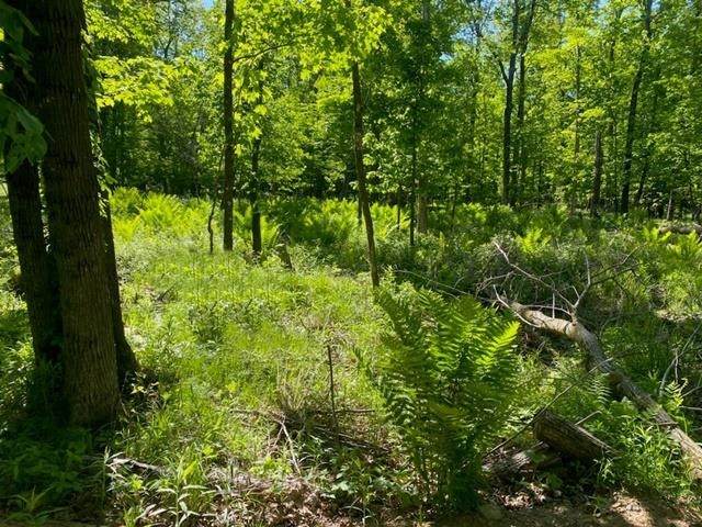 Lot 2 Mann Road - Photo 1