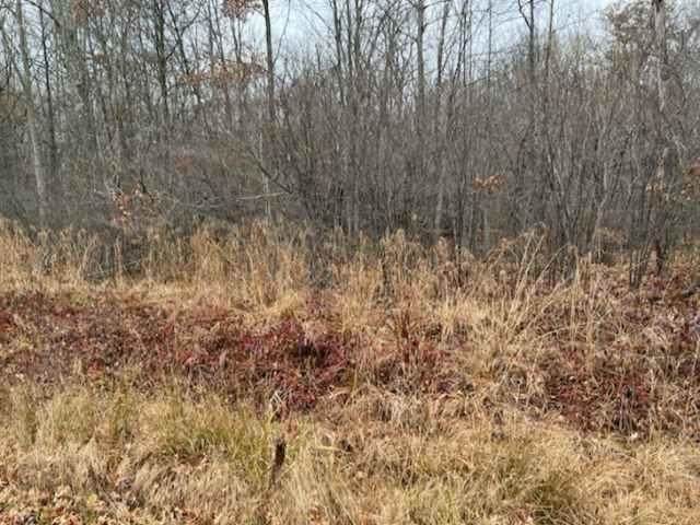 Lot 13 Crystal Waters Court - Photo 1