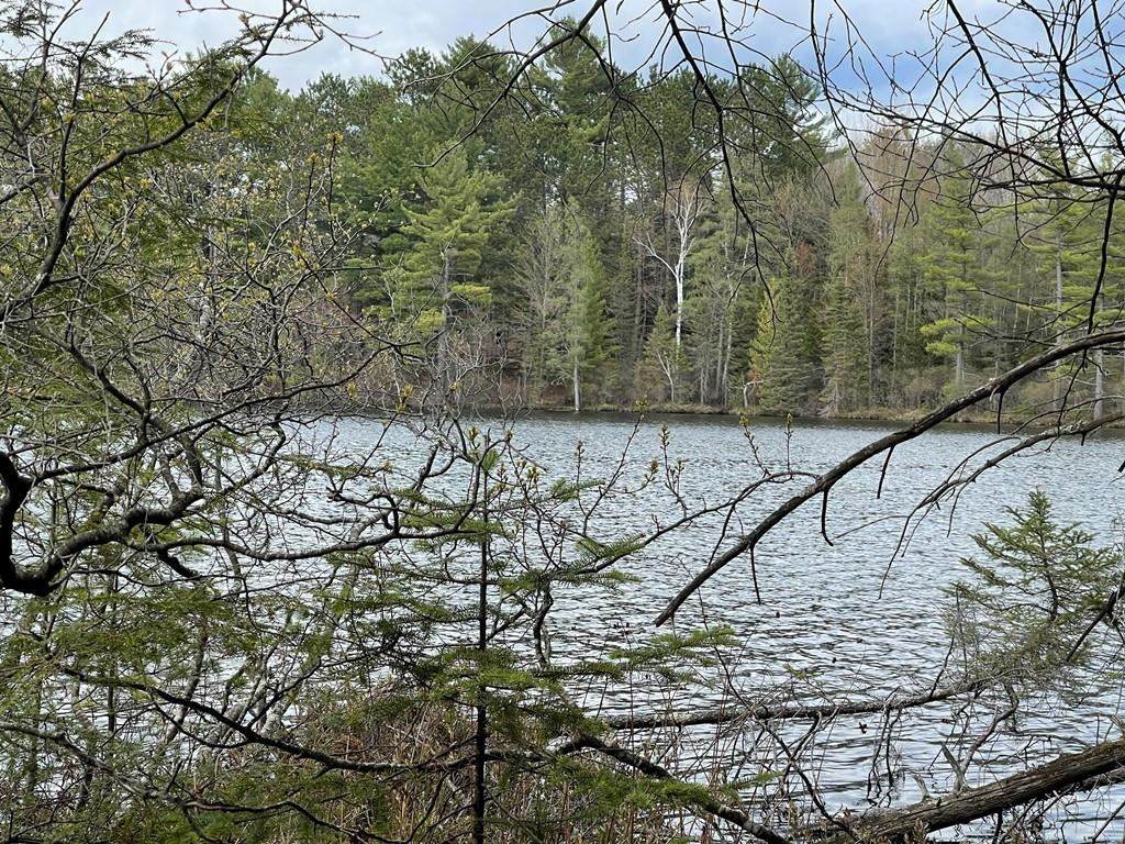 1 Acre E Lot 4 Lake 19 Road - Photo 1