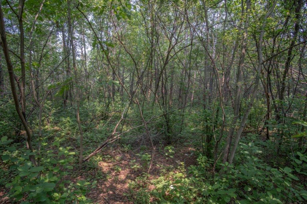 Lot 5, Block 5 Schmidt Avenue - Photo 1