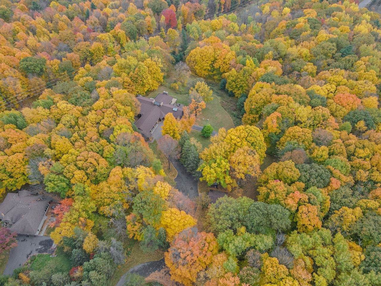 800 Green Leaf Circle - Photo 1