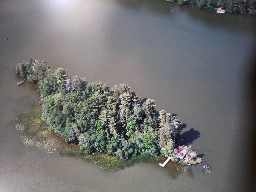 100 Chicago Island - Photo 1
