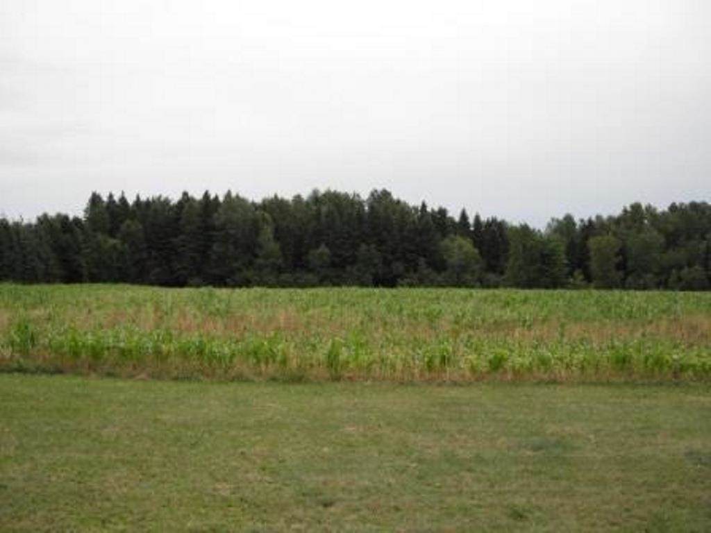 W16673 County Road Z - Photo 1