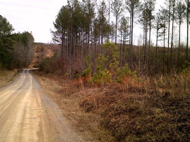 00 Sosbee Rd - Photo 1