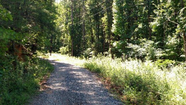 00 Dennis Mill Rd - Photo 1