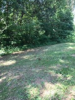 00 Chestnut Street - Photo 1