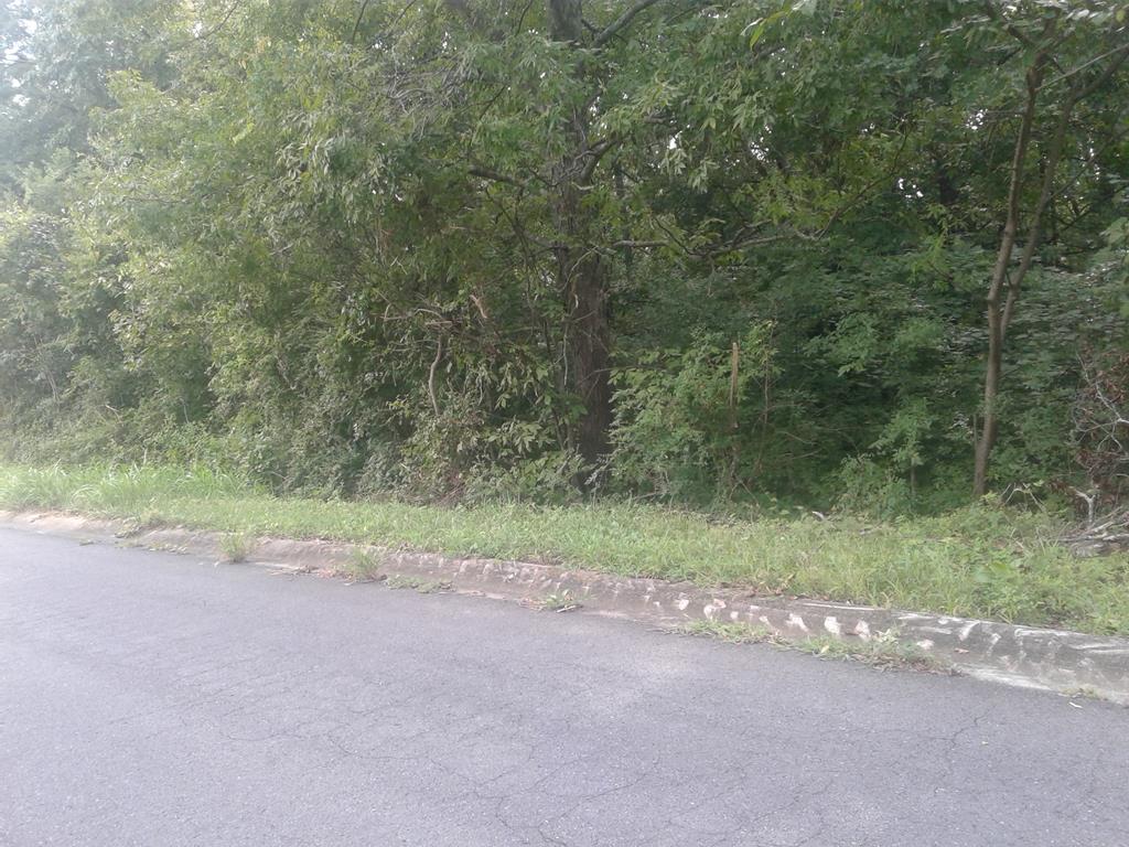 0 Arrowhead Drive - Photo 1