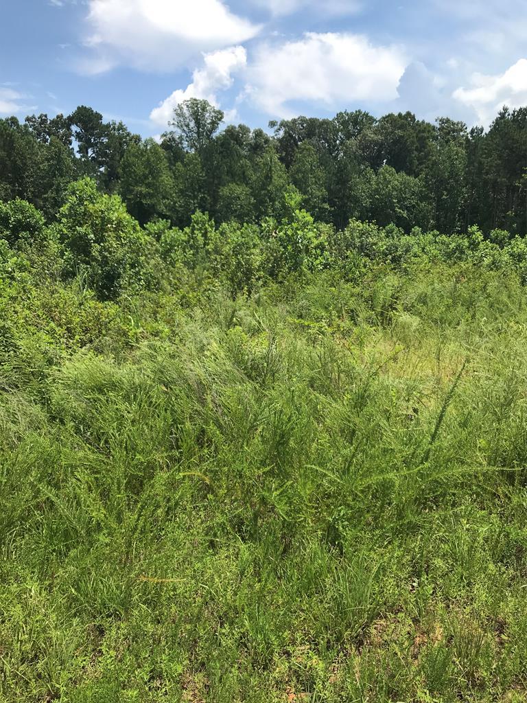 0 Bell Loop - Photo 1