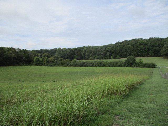 4283 Cohutta Varnell Road - Photo 1