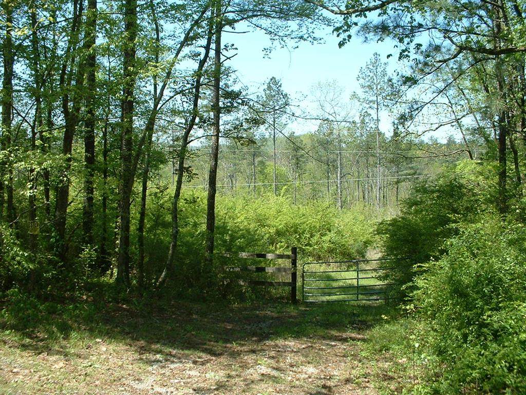 00 Dogwood Valley Road - Photo 1